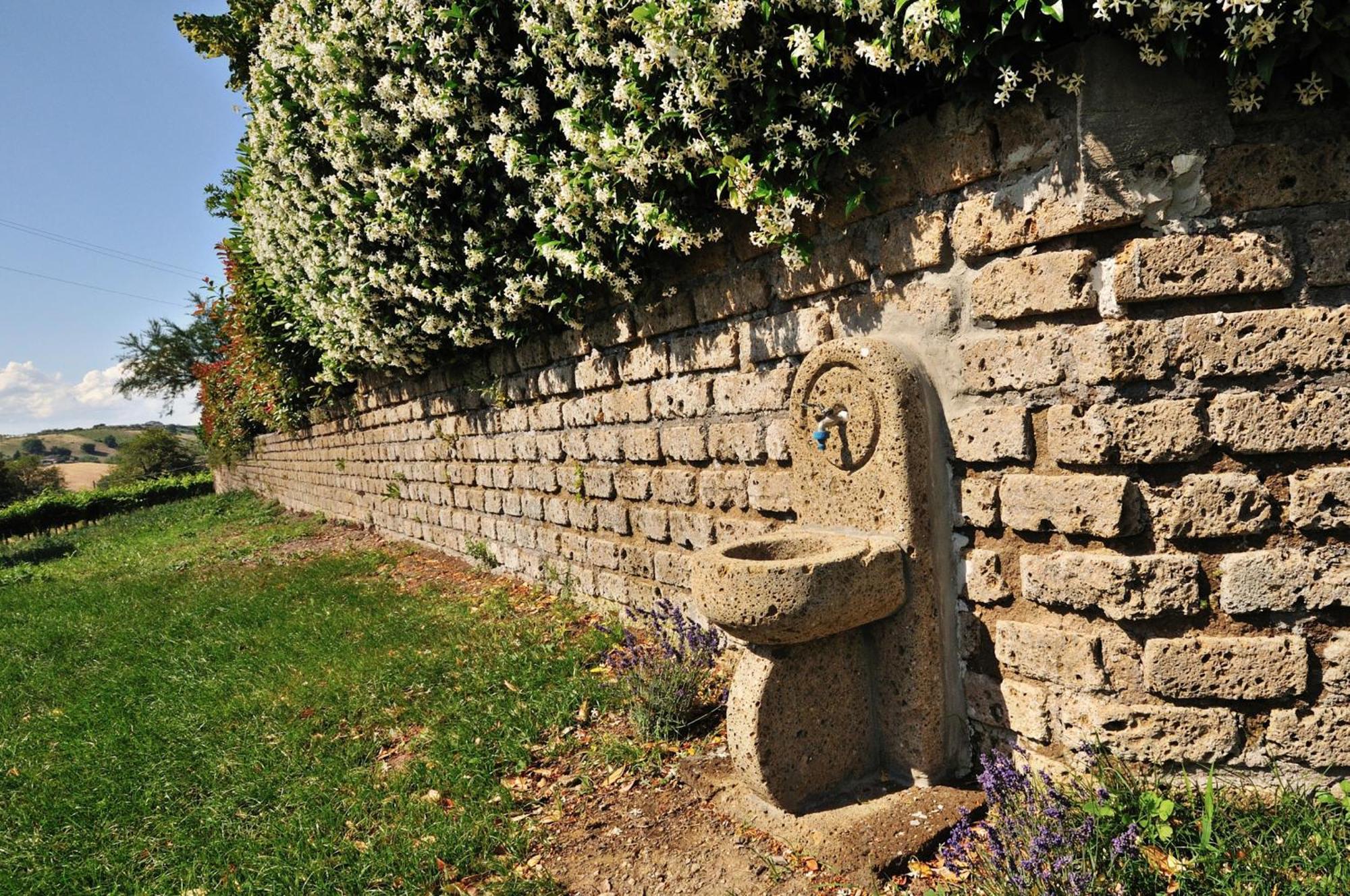 Agriturismo Casale Contessa Montebuono  Eksteriør bilde